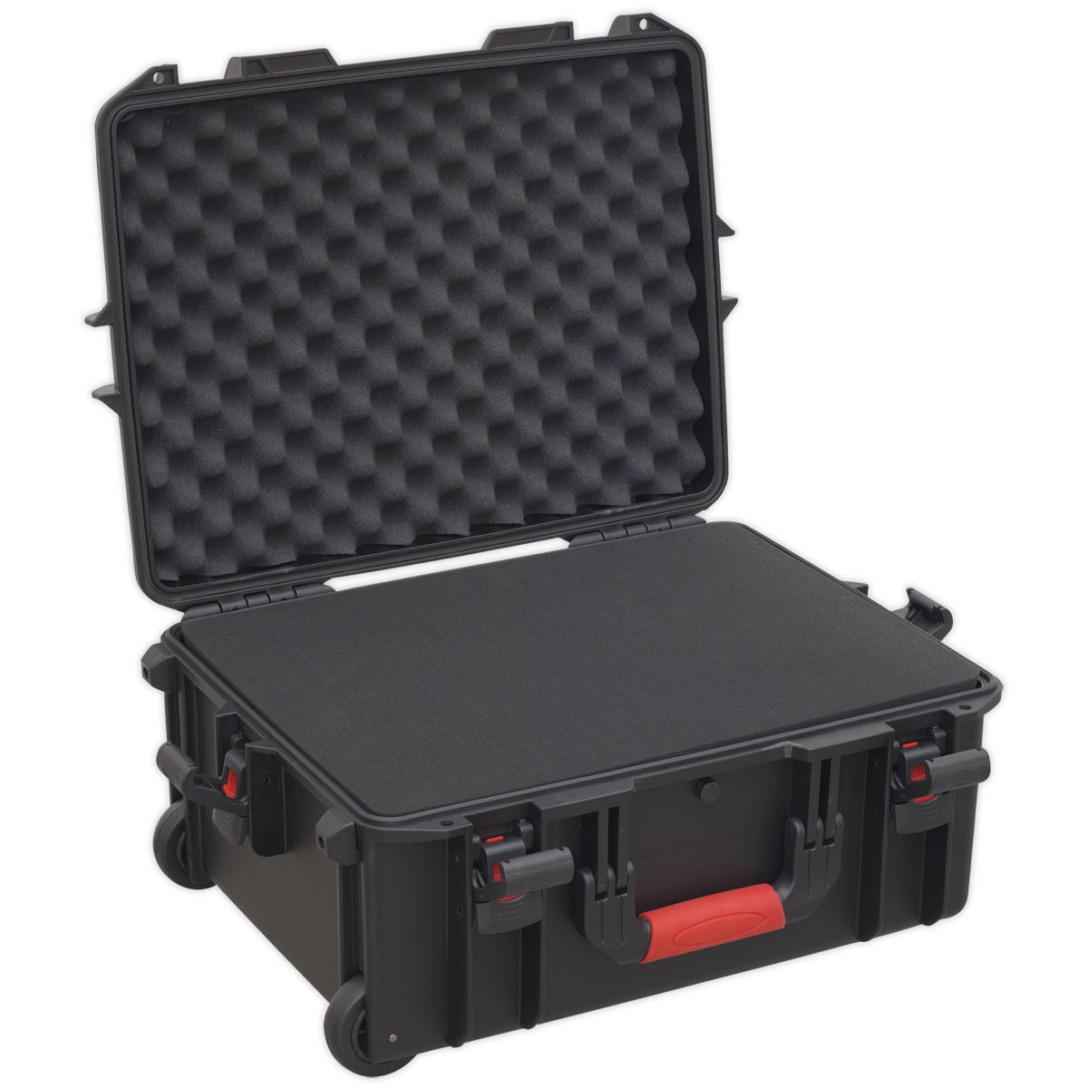 Sealey Professional Water Resistant Storage Case With Ext