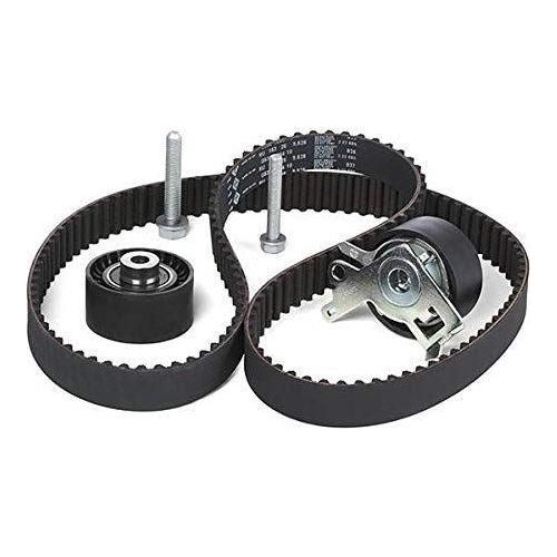 Ina Timing Belt Kit 530023810