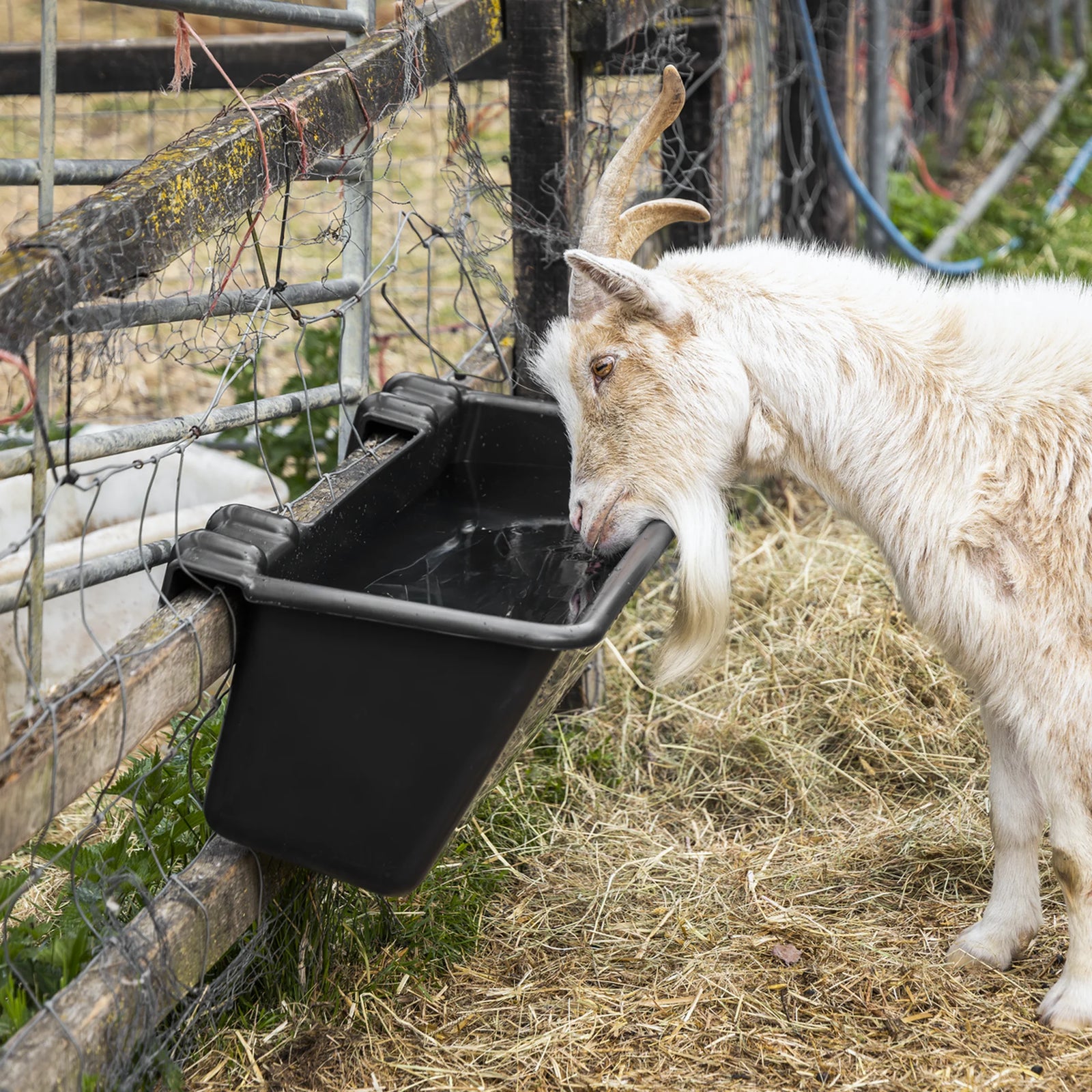 Sealey Hook-Over Trough 40L - Durable Plastic for Farm Animals