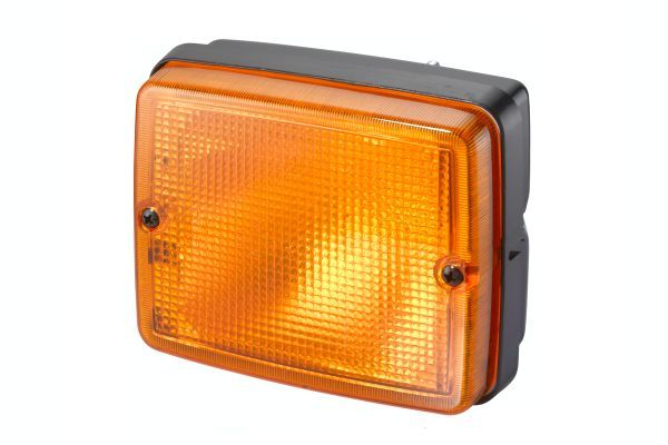 Hella Direction Indicator Light 2BA 003 236-088