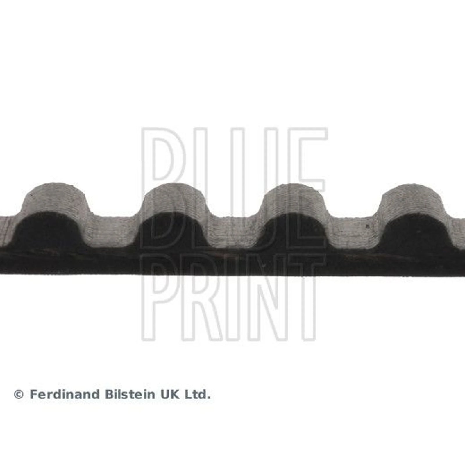Blue Print Timing Belt Cambelt 123 Teeth ADC47511