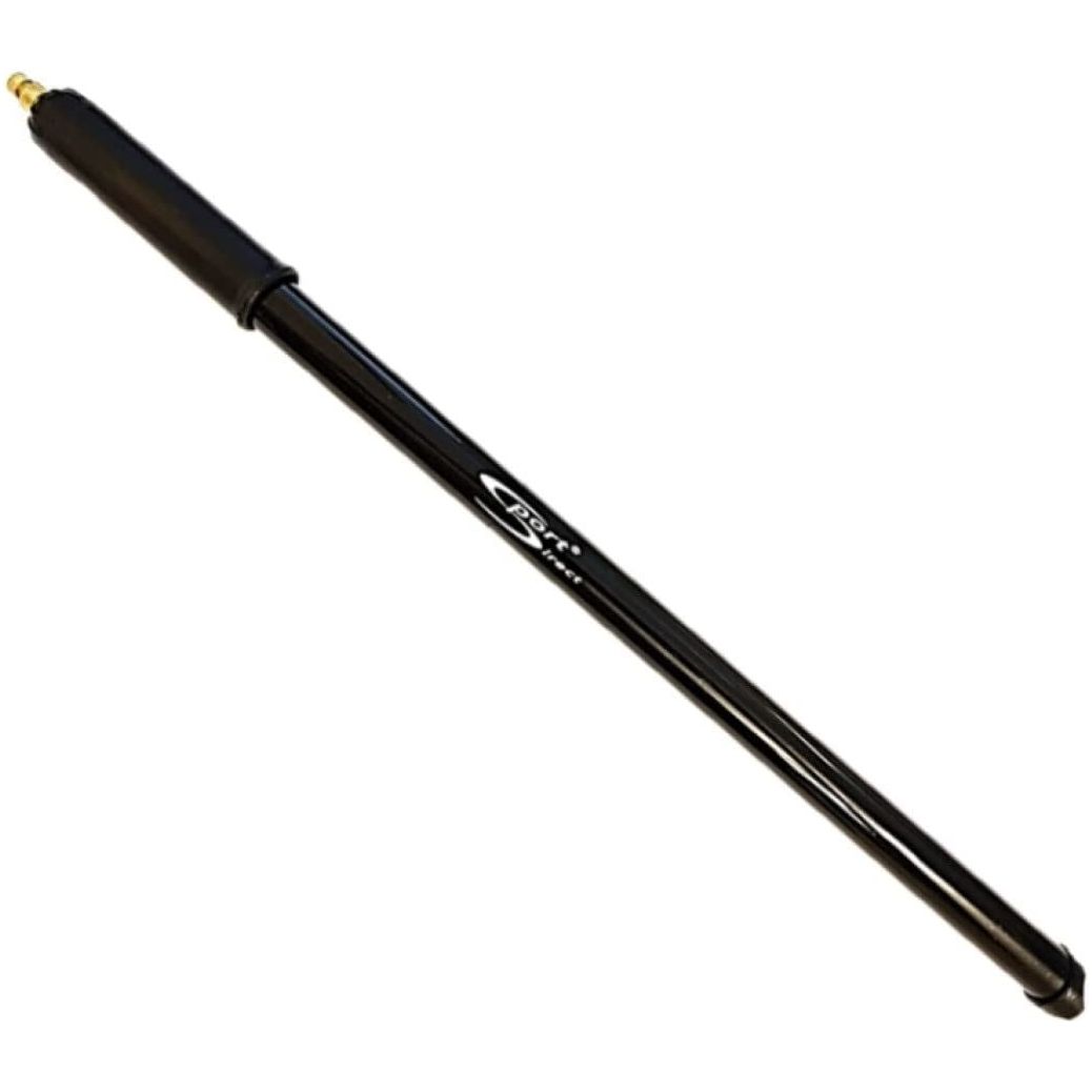 Sport Direct Cycle Dual Valve Pump - 15 Inch
