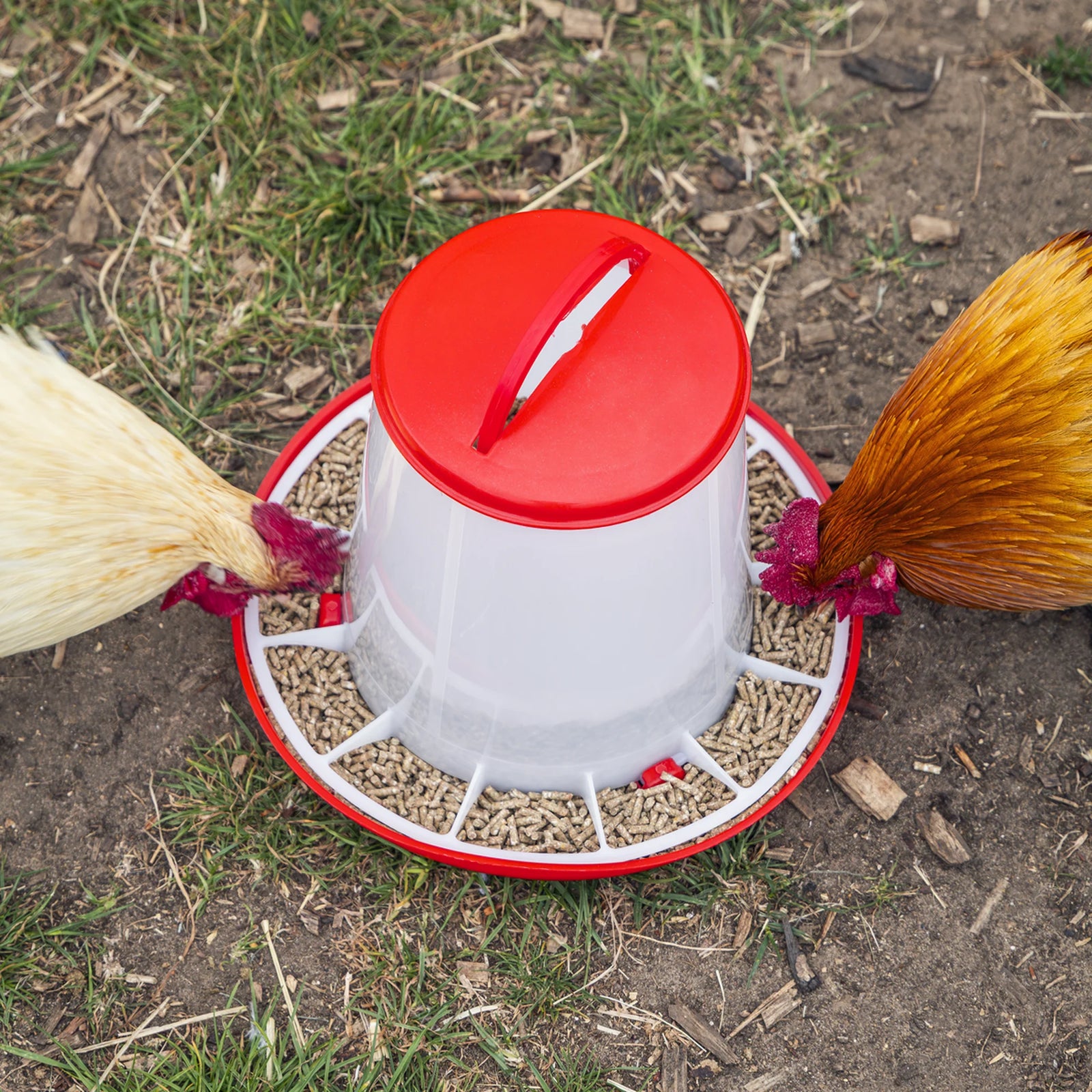 Sealey Poultry Feeder 3kg - Pack of 3 Durable Plastic Feeders