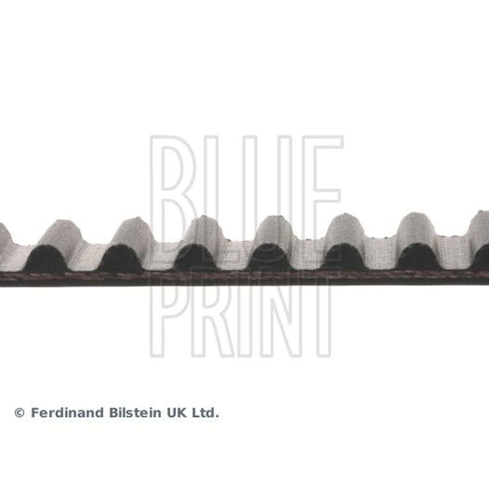 Blue Print Timing Belt Cambelt 126 Teeth ADH27531