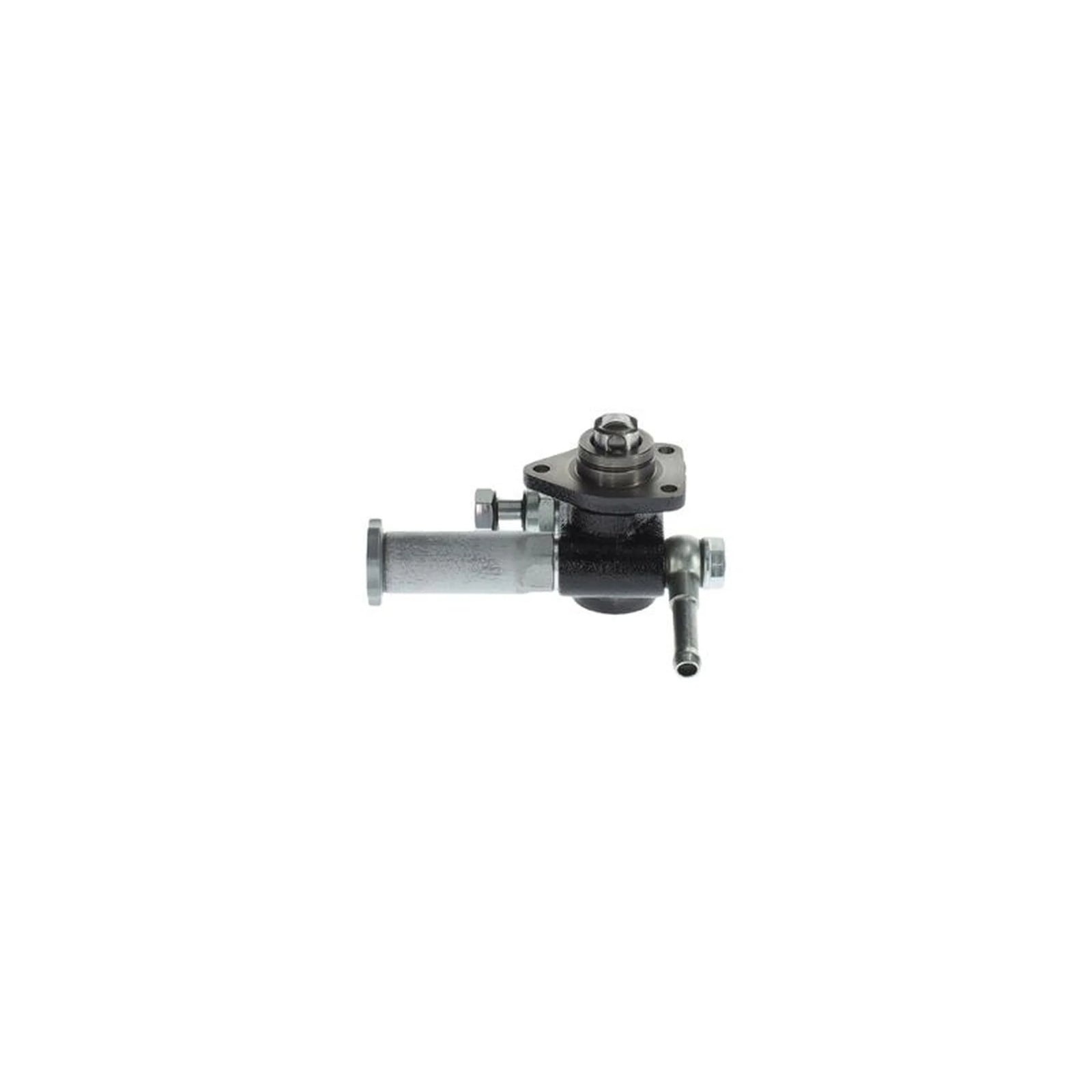 Bosch Fuel Pump Assembly H 105 220 528