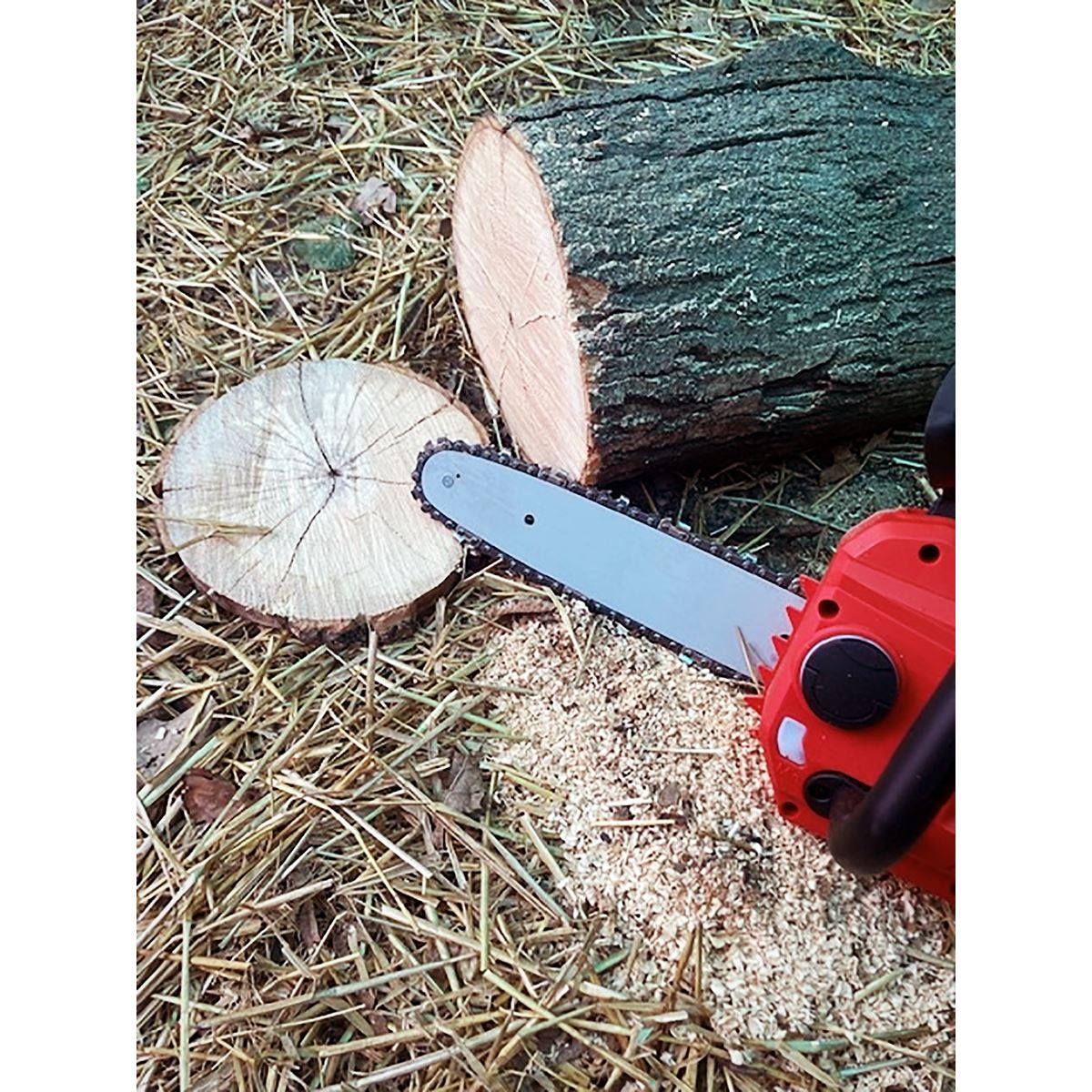 Sealey Cordless Chainsaw 20V SV20 Series 25cm Body Only CP20VCHS