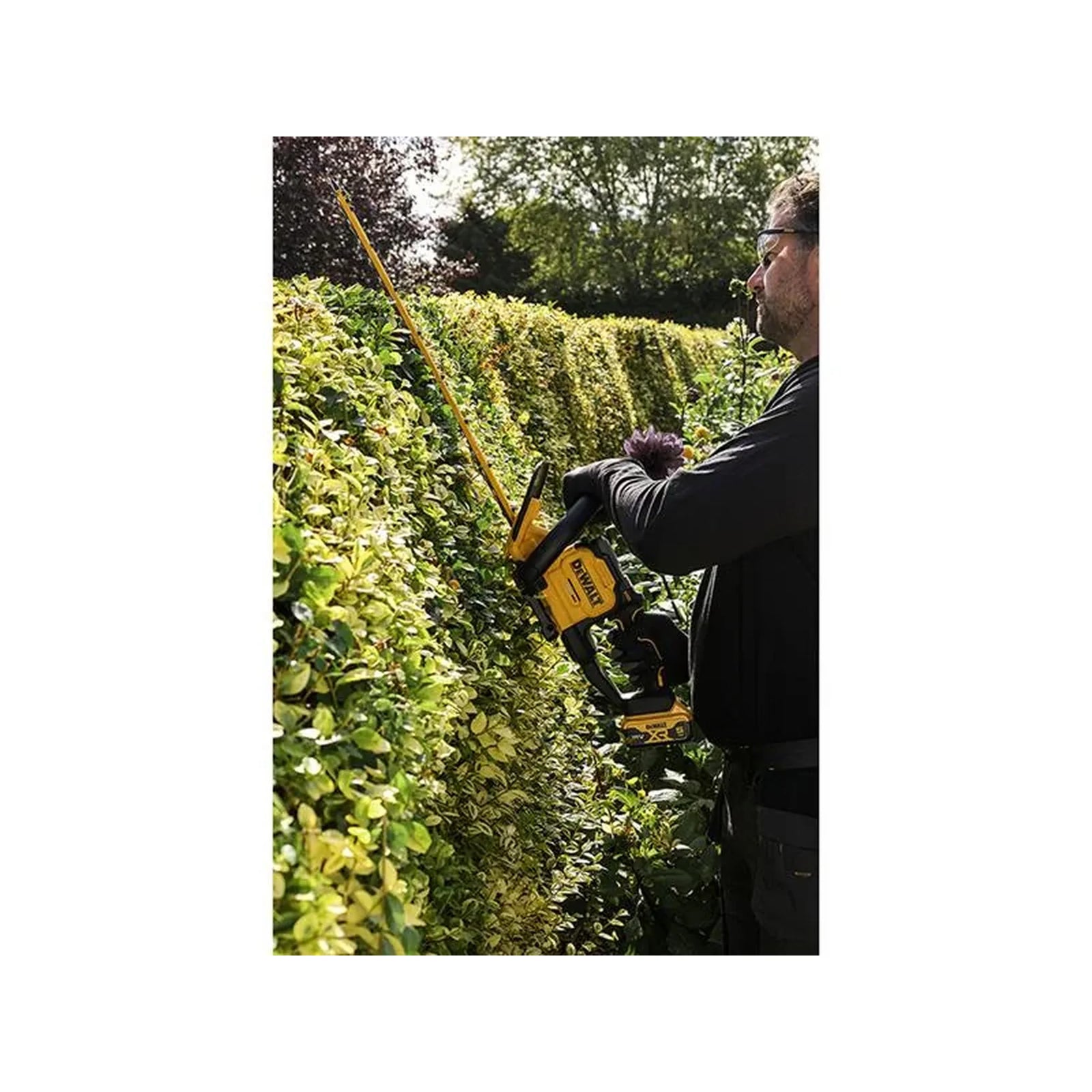 DEWALT Power Tools DCMHT567P1 XR Hedge Trimmer 18V 1 x 5.0Ah Li-ion