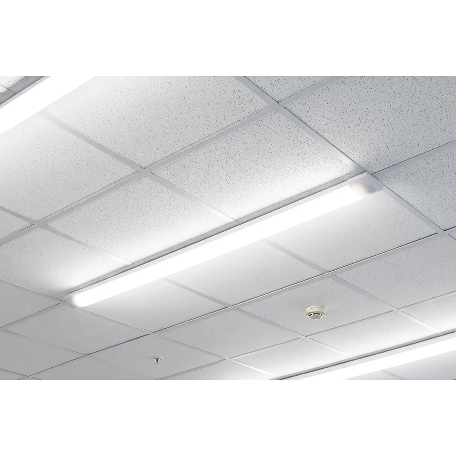 Sealey 5ft Batten Light 50W SMD LED 230V - LED50BL