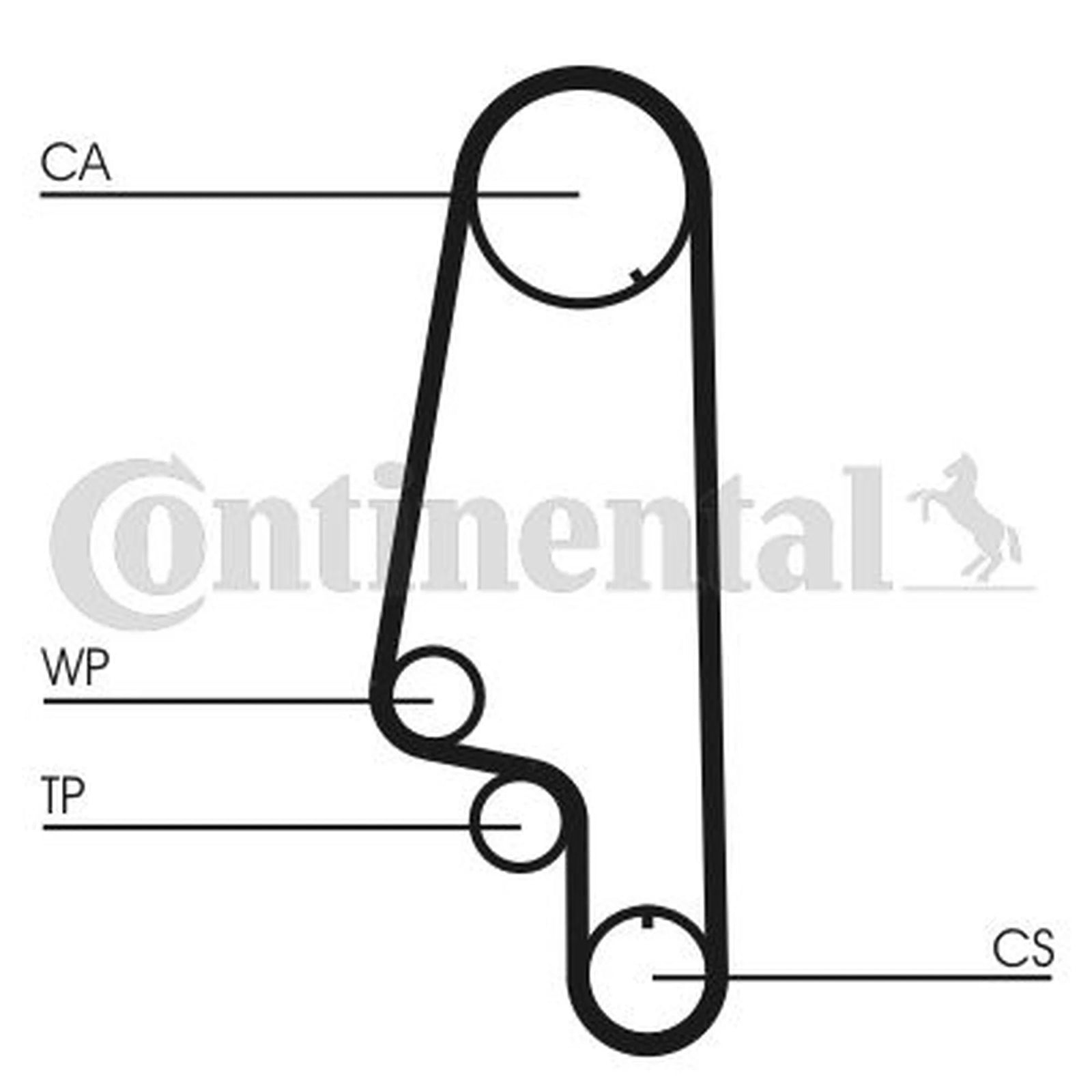 Continental CTAM Timing Belt Cambelt 137 Teeth CT847