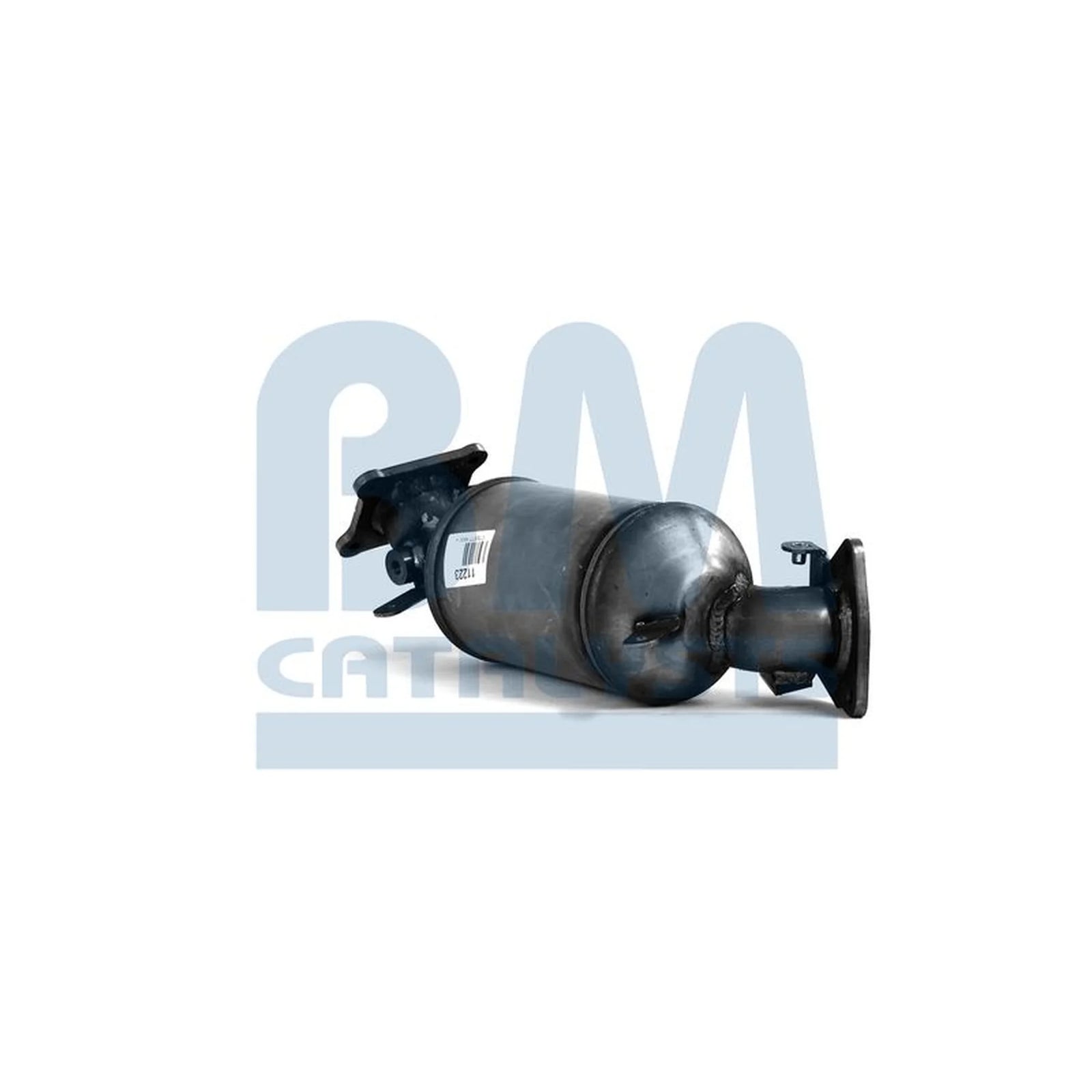 BM Catalysts Dpf BM11223
