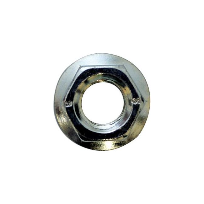 Connect Serrated Flange Nuts M10 100pc 31369