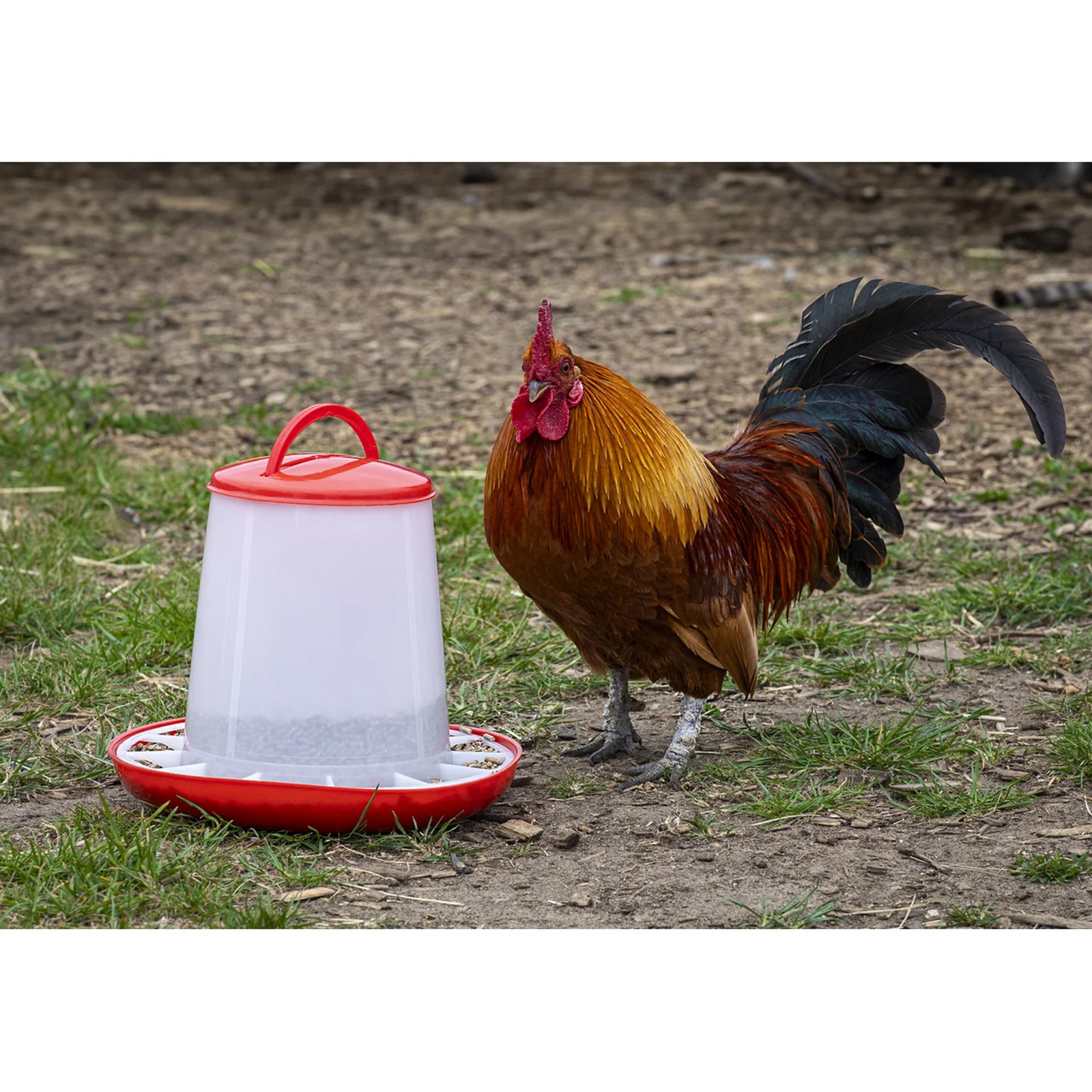 Sealey Poultry Feeder 3kg - Pack of 3 Durable Plastic Feeders