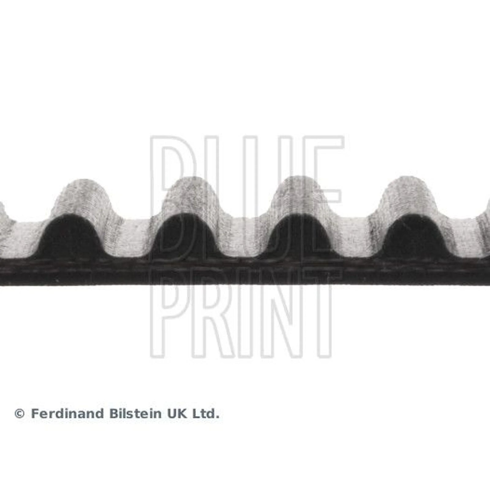 Blue Print Timing Belt Cambelt 116 Teeth ADC47526