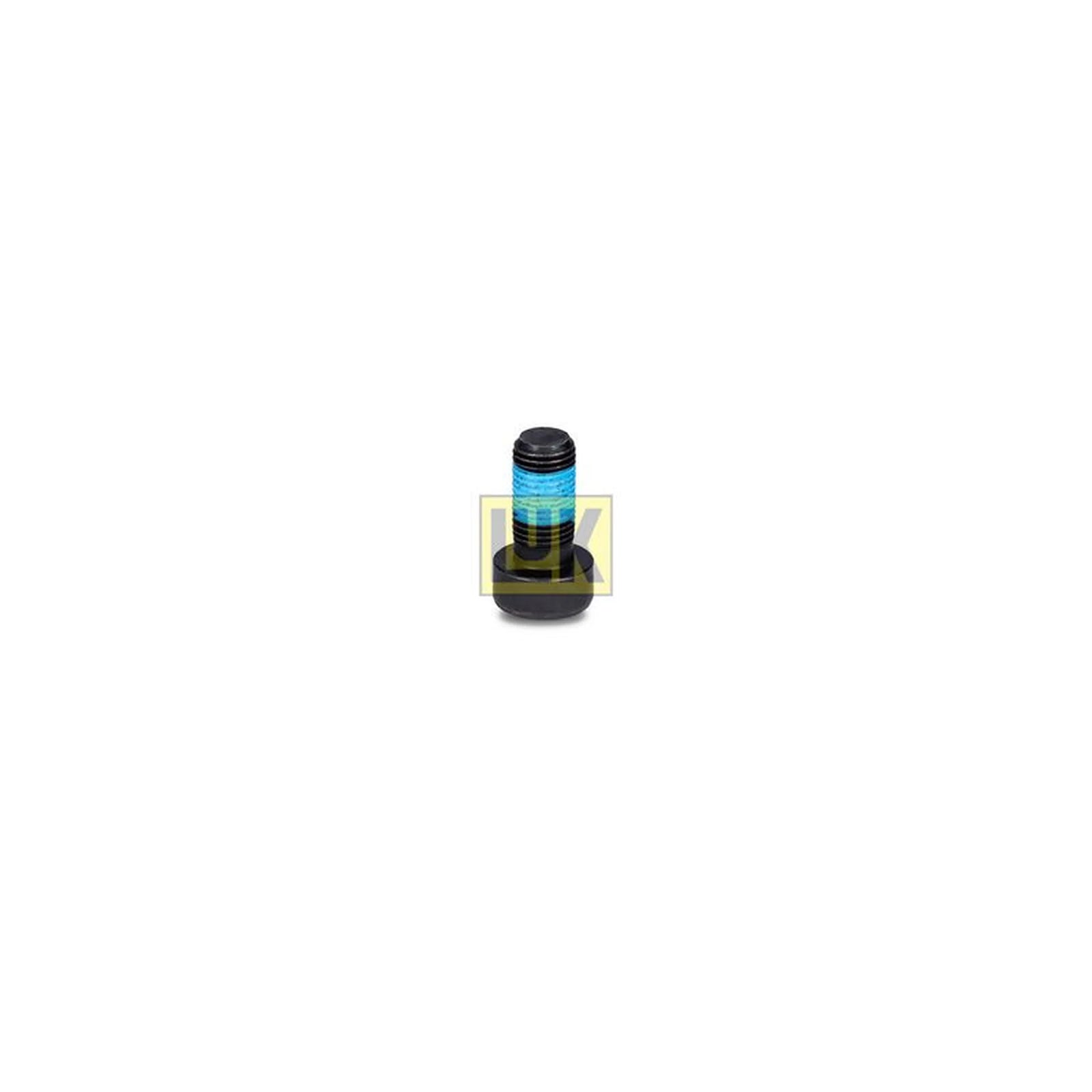 LuK Dmf Bolt Fitting Kit 411012210