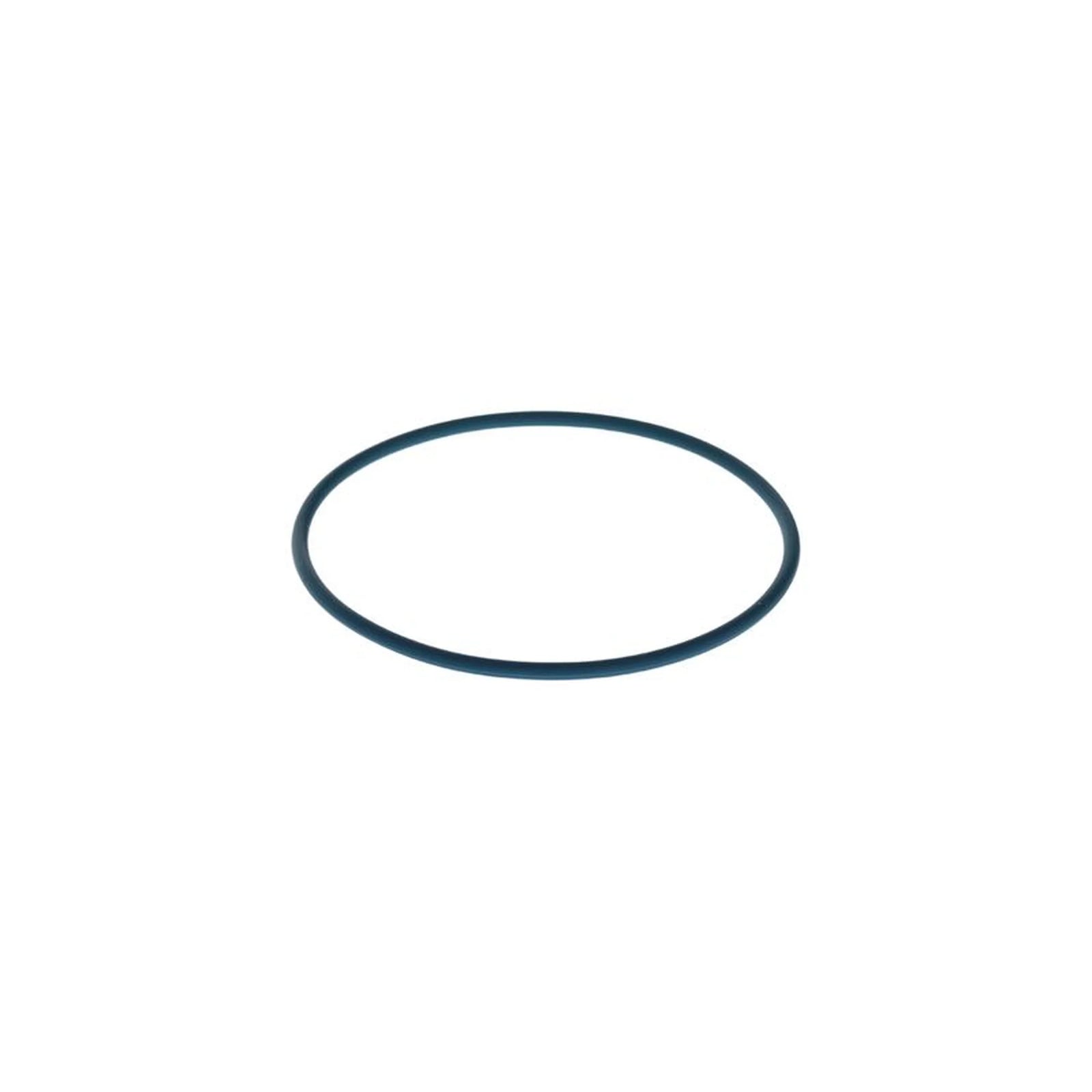 Bosch Rubber Seal Ring F 00N 204 105