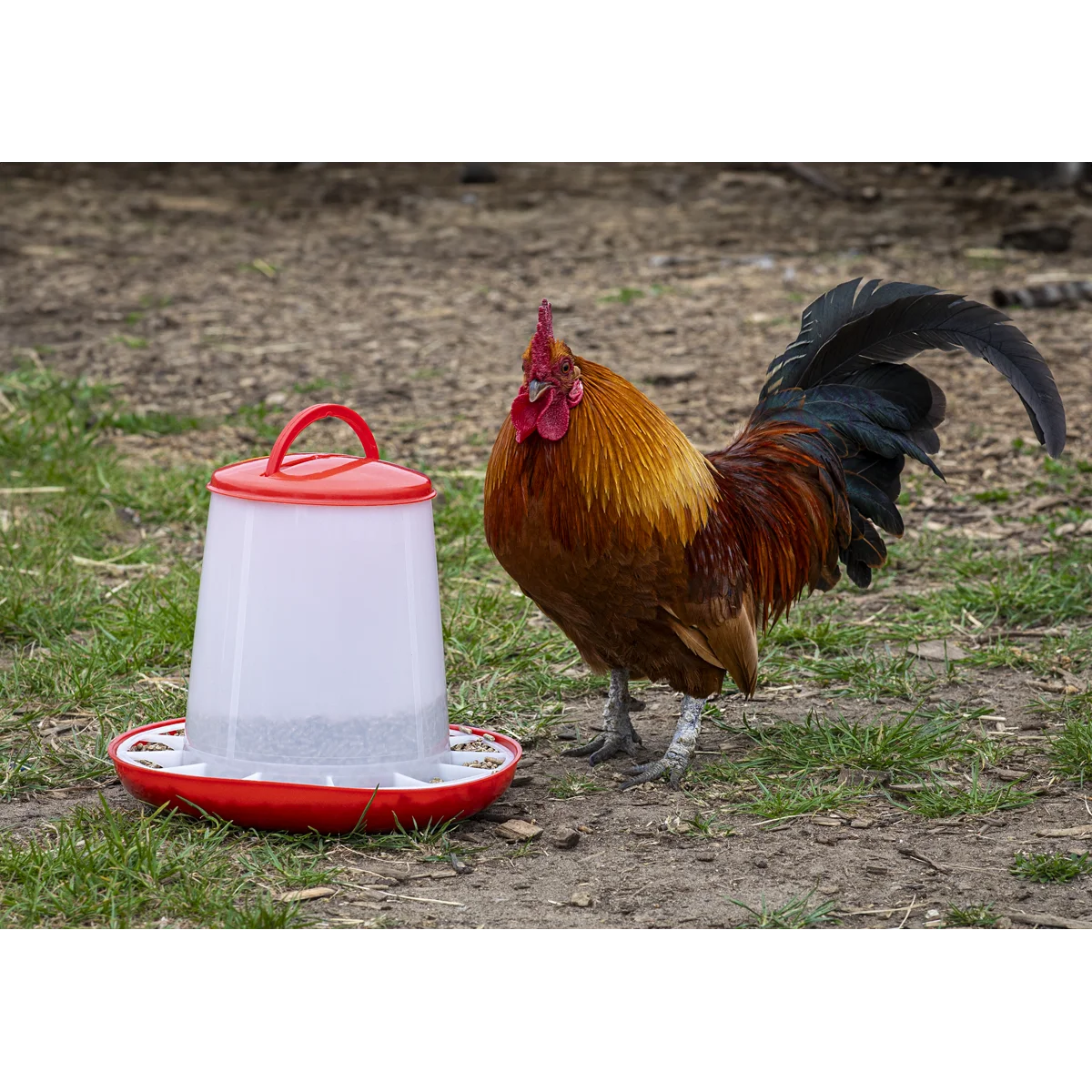 Sealey Poultry Feeder 3kg Model AFT03