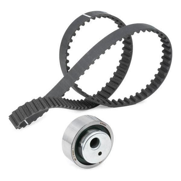 Ina Timing Belt Kit 530001210