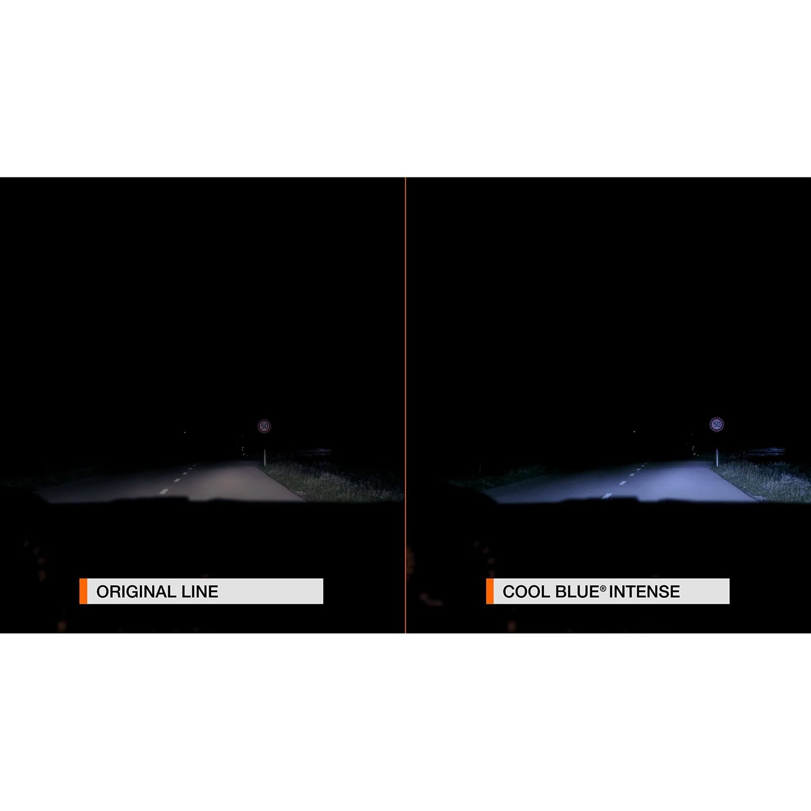 Osram H1 Halogen Bulb 12V/55W Cool Blue Intense