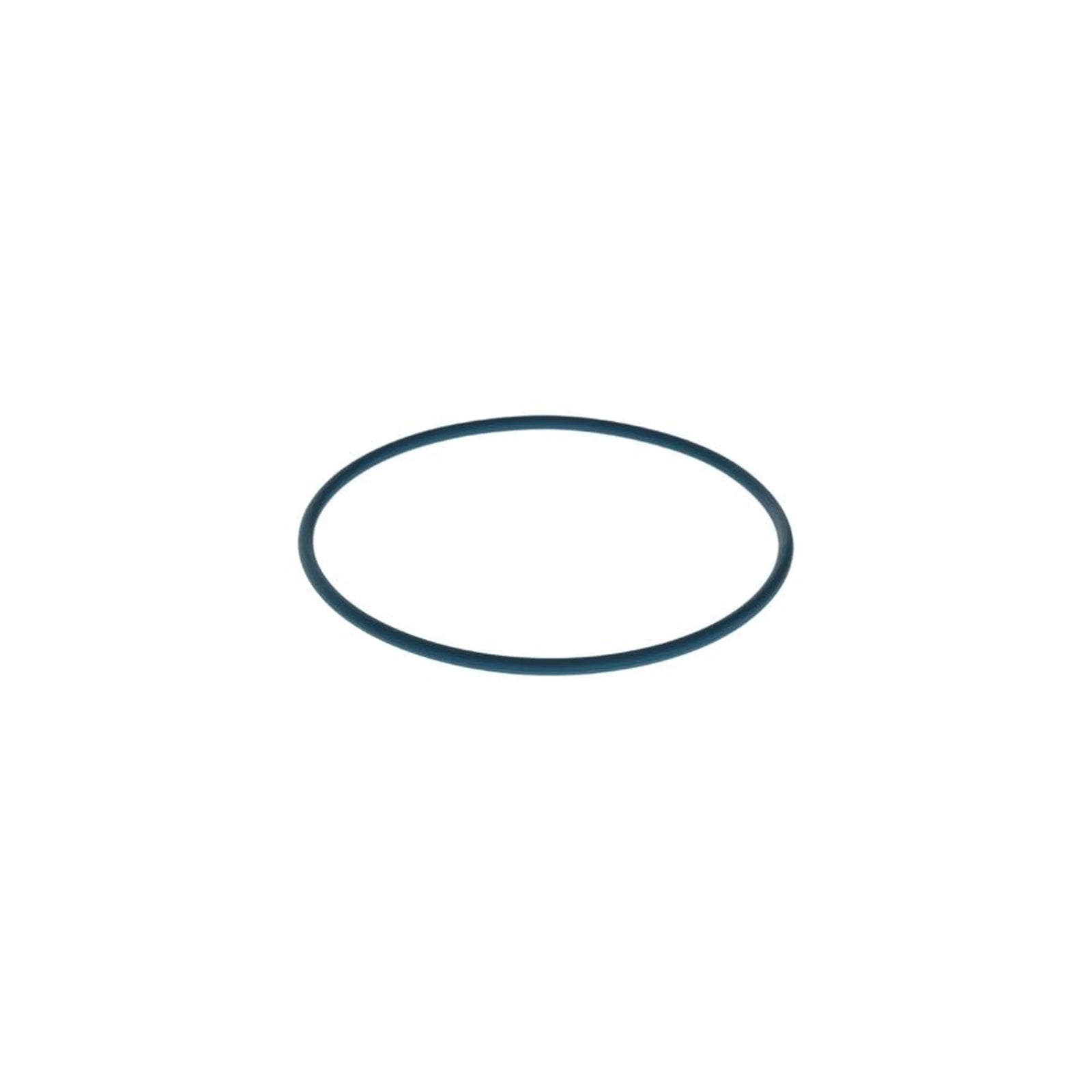 Bosch Rubber Seal Ring F 00N 204 105