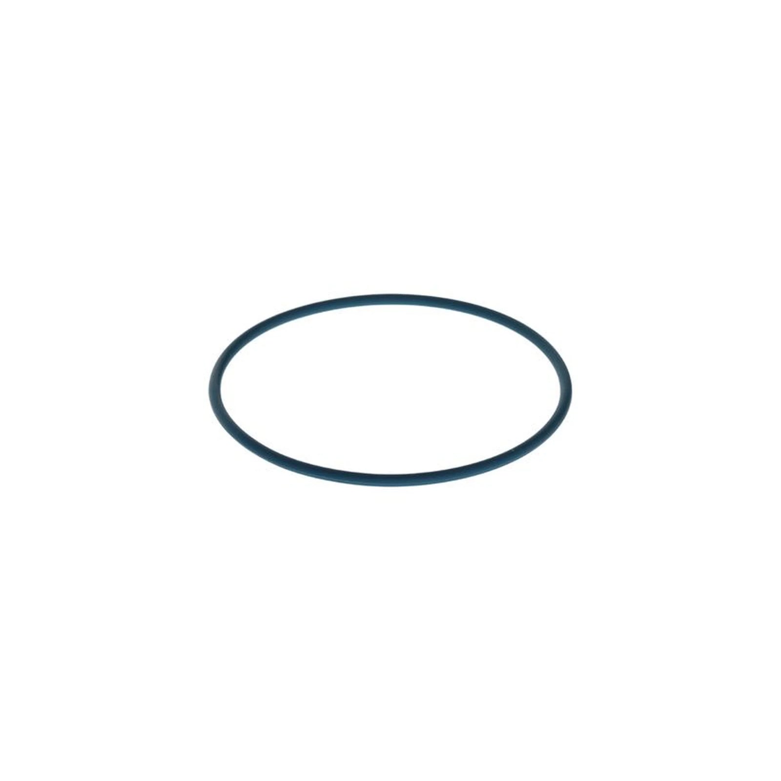 Bosch Rubber Seal Ring F 00N 204 105
