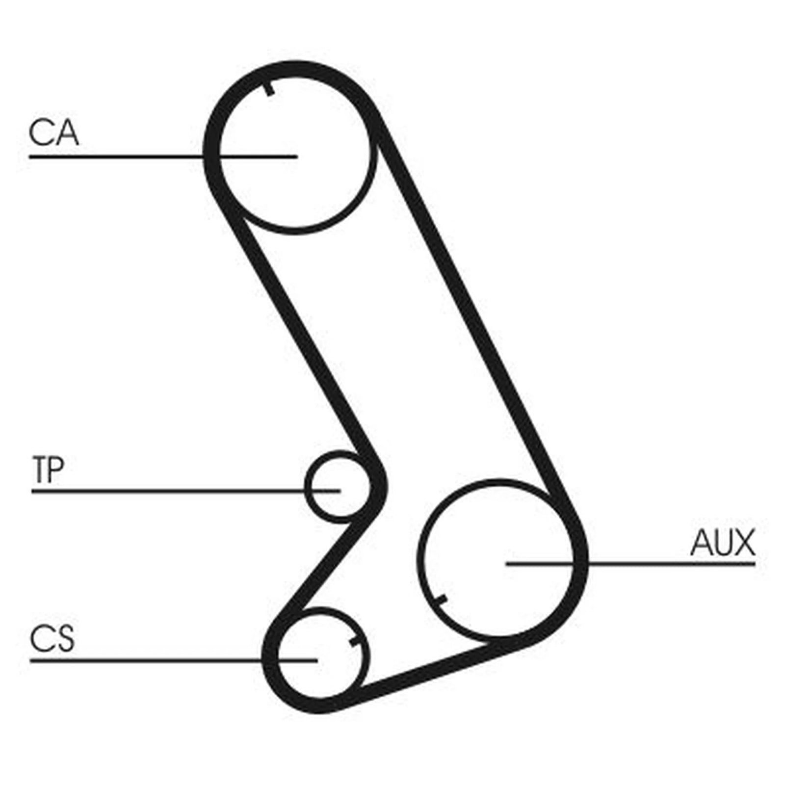 Continental CTAM Timing Belt Cambelt 124 Teeth CT773