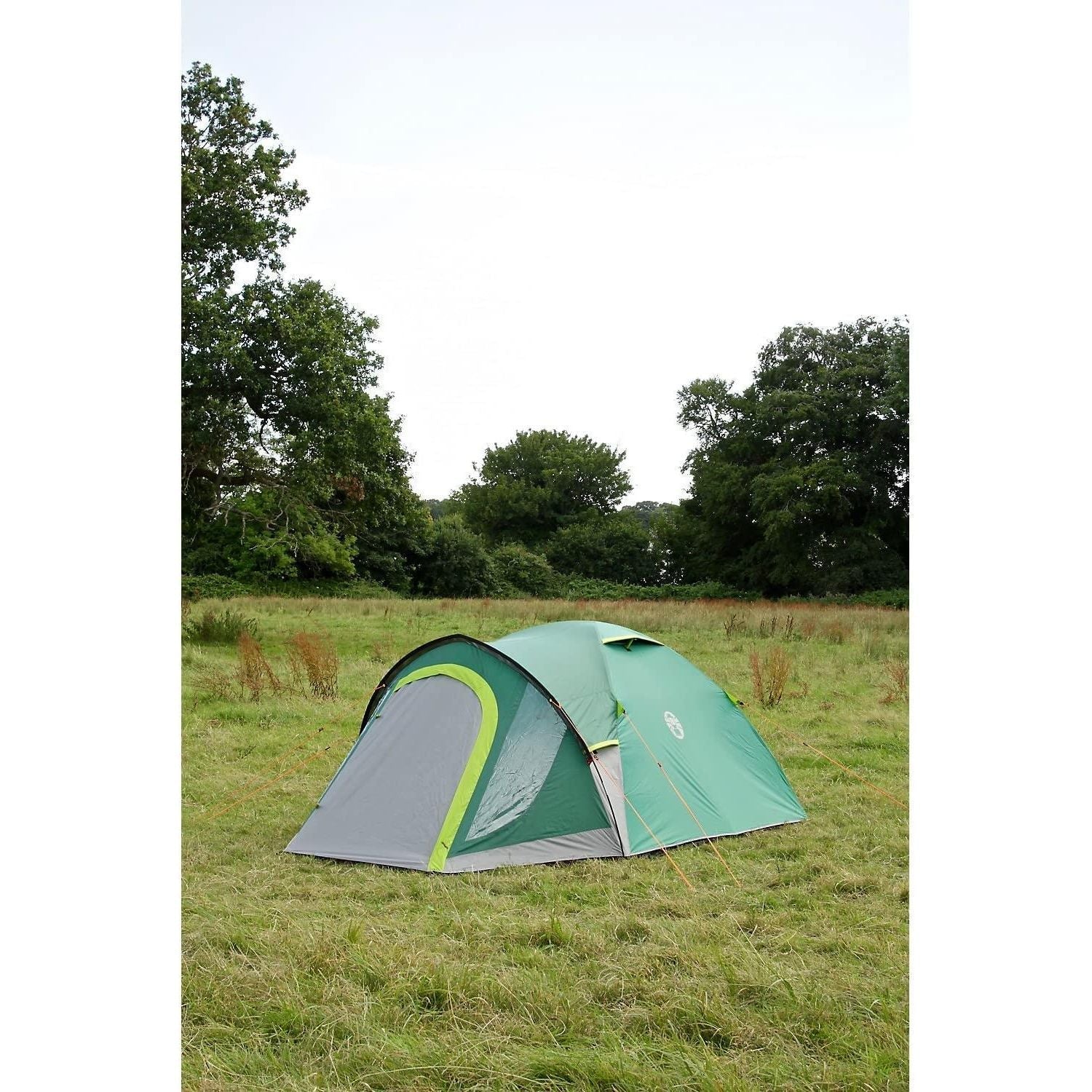 Coleman Kobuk Valley 4+ Person Green Tent