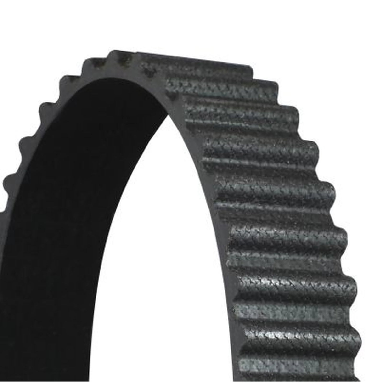 Continental CTAM Timing Belt Cambelt 97 Teeth CT895