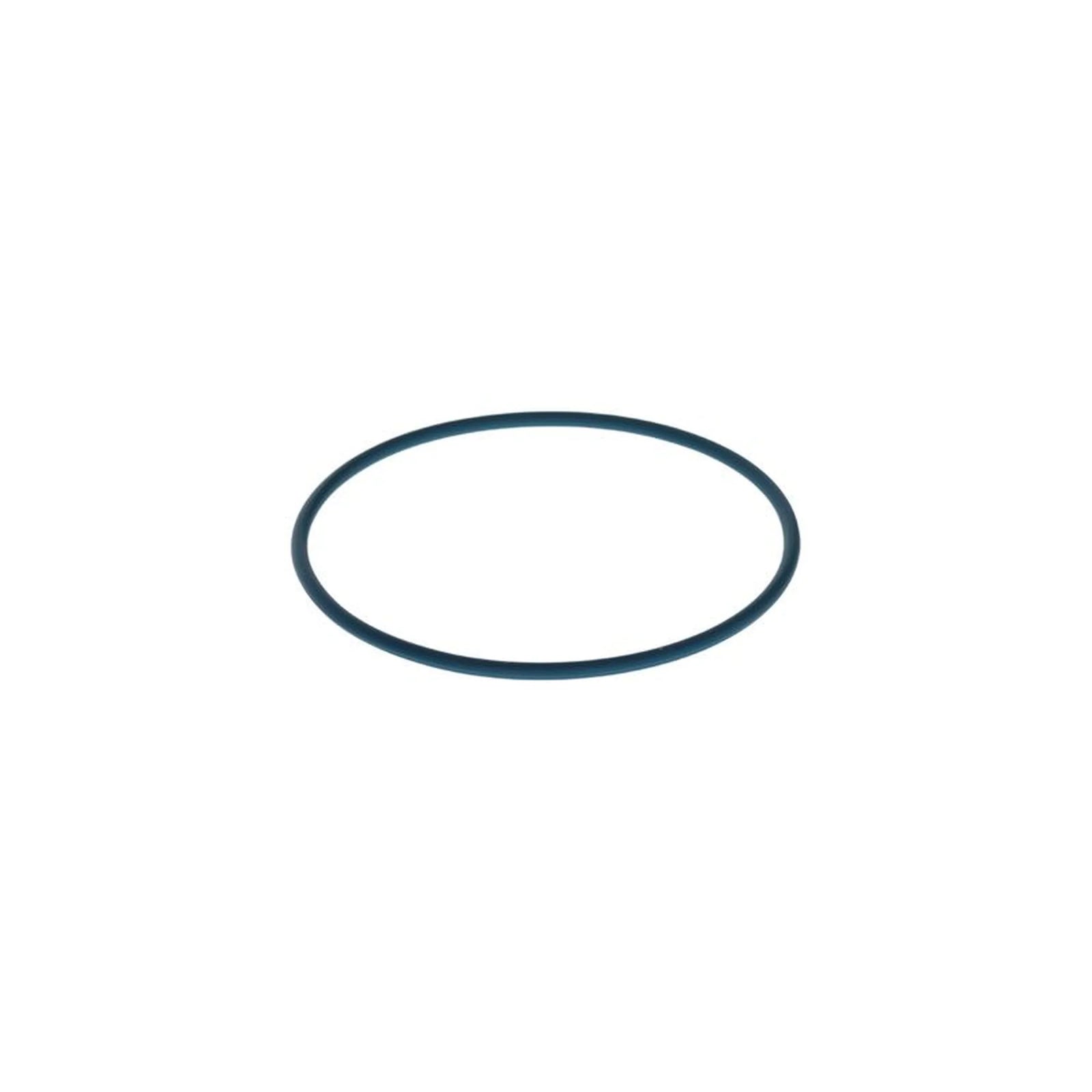 Bosch Rubber Seal Ring F 00N 204 105