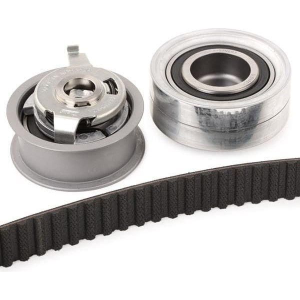Ina Timing Belt Kit 530008210