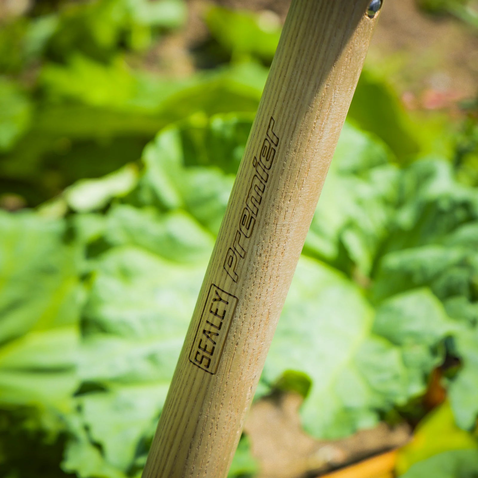 Sealey Premier Border Fork 490mm Ash Handle Stainless Steel Tines