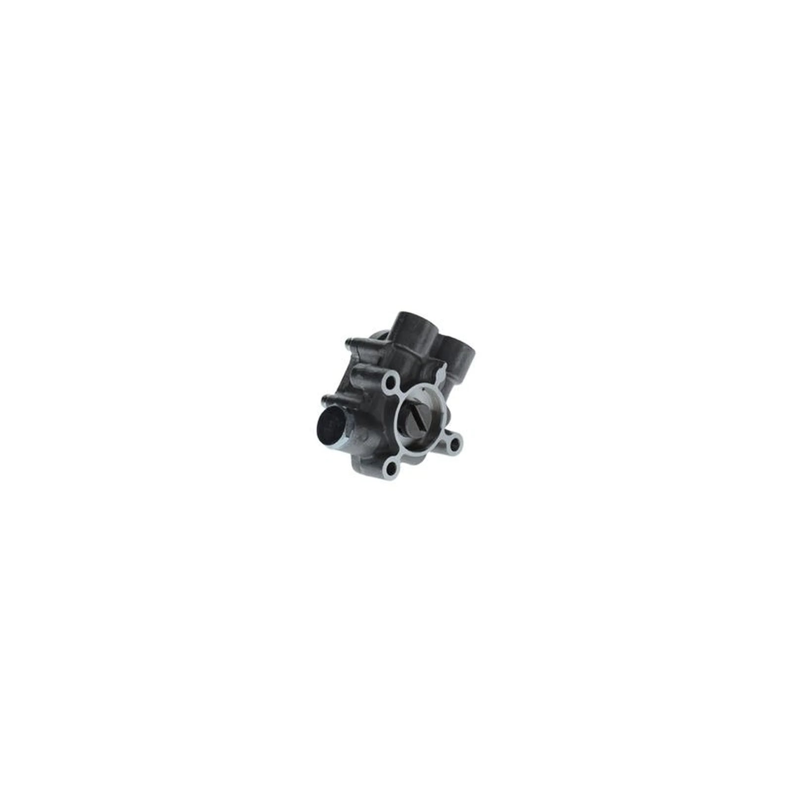 Bosch Fuel Pump Assembly K S00 003 822