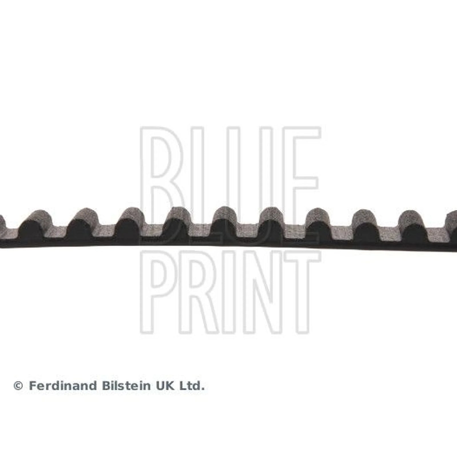 Blue Print Timing Belt Cambelt 111 Teeth ADG07502