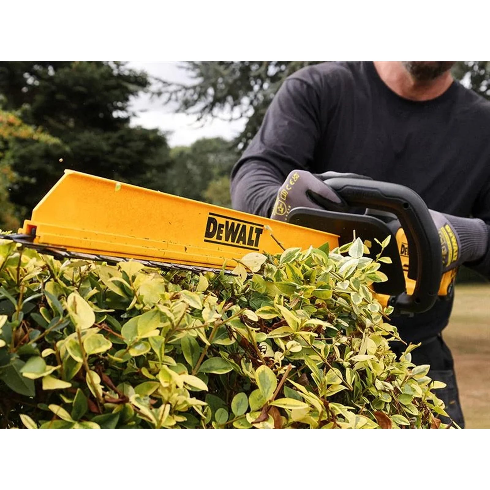 DEWALT Power Tools DCMHT567P1 XR Hedge Trimmer 18V 1 x 5.0Ah Li-ion