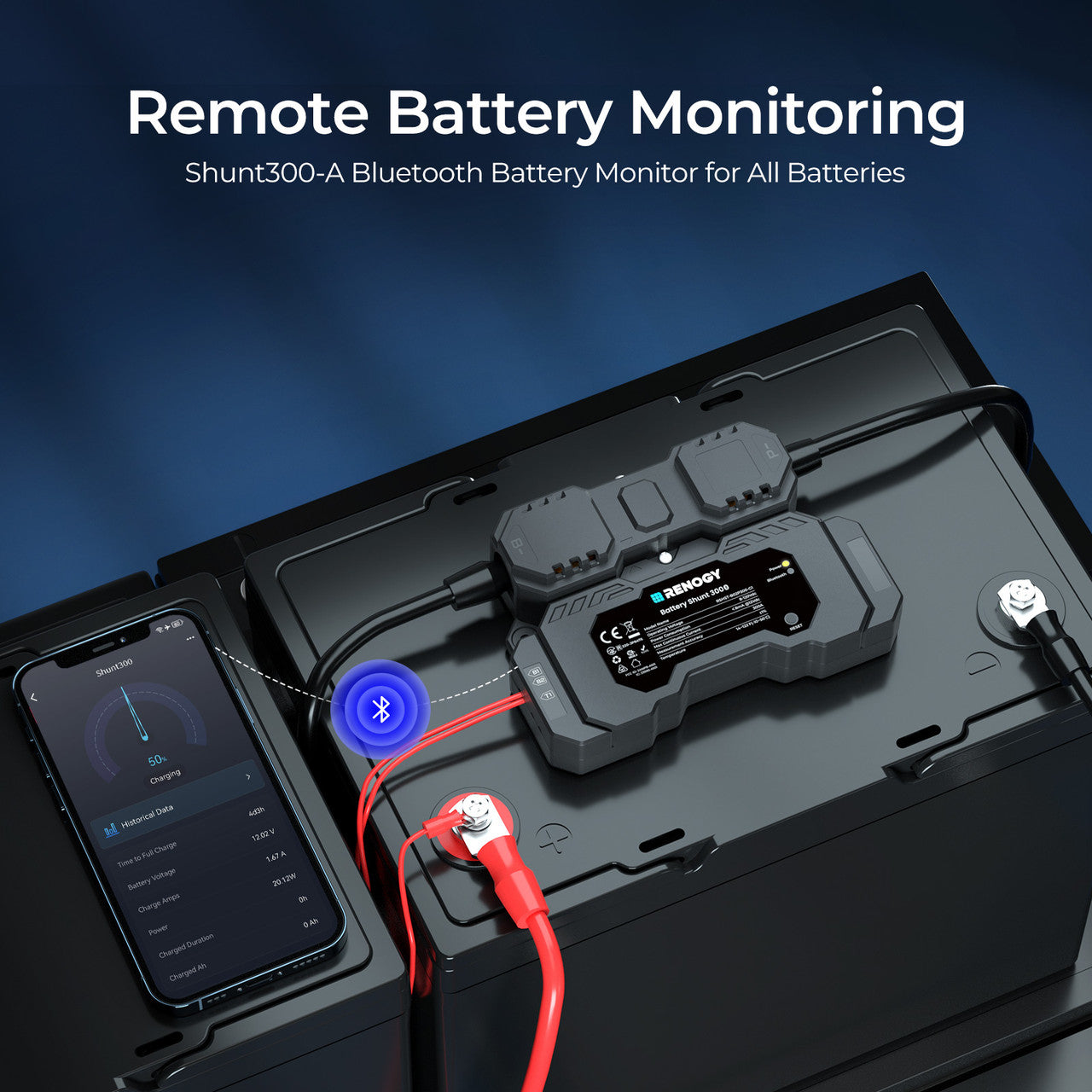 Renogy Renogy Battery Shunt 300