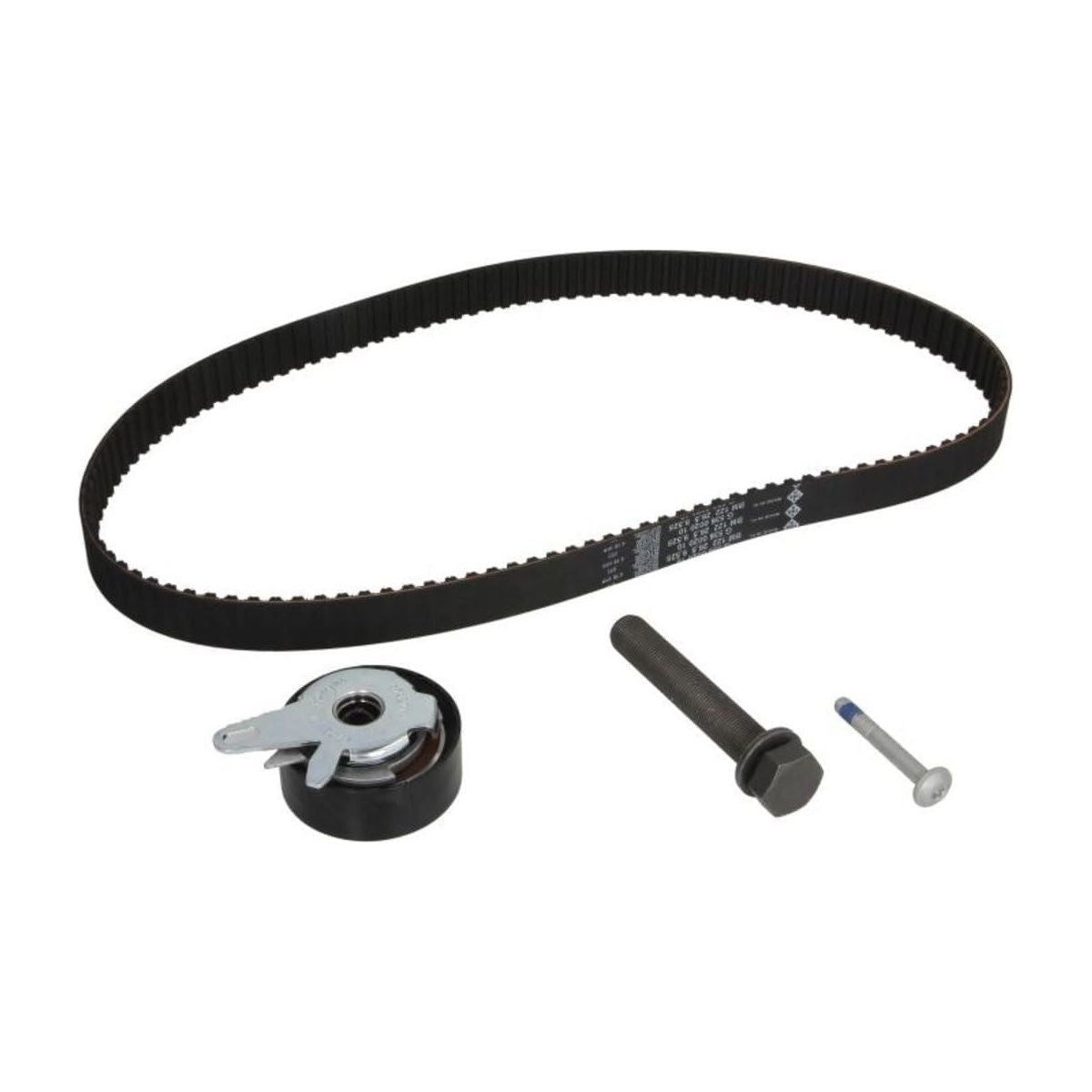 Ina Timing Belt Kit 530017310