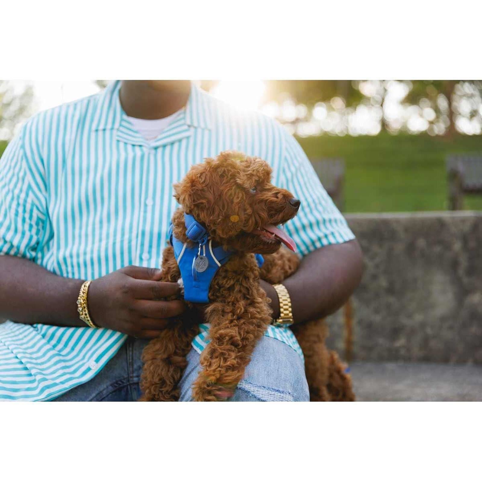 Ruffwear Front Range Dog Harness in Blue Pool (Medium)