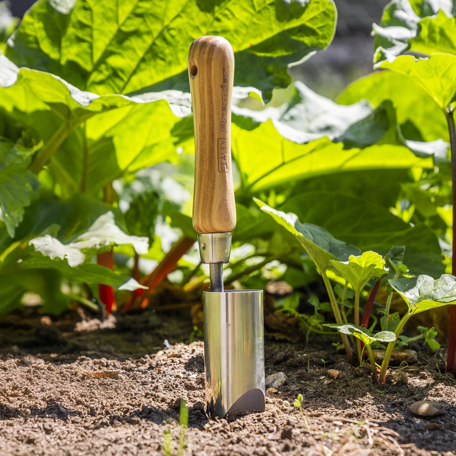 Sealey Premier Planter GTWH008 with Ash Handle 150mm