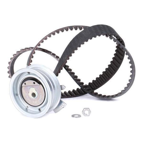 Ina Timing Belt Kit 530017110