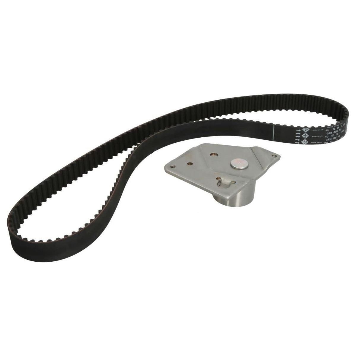 Ina Timing Belt Kit 530044210