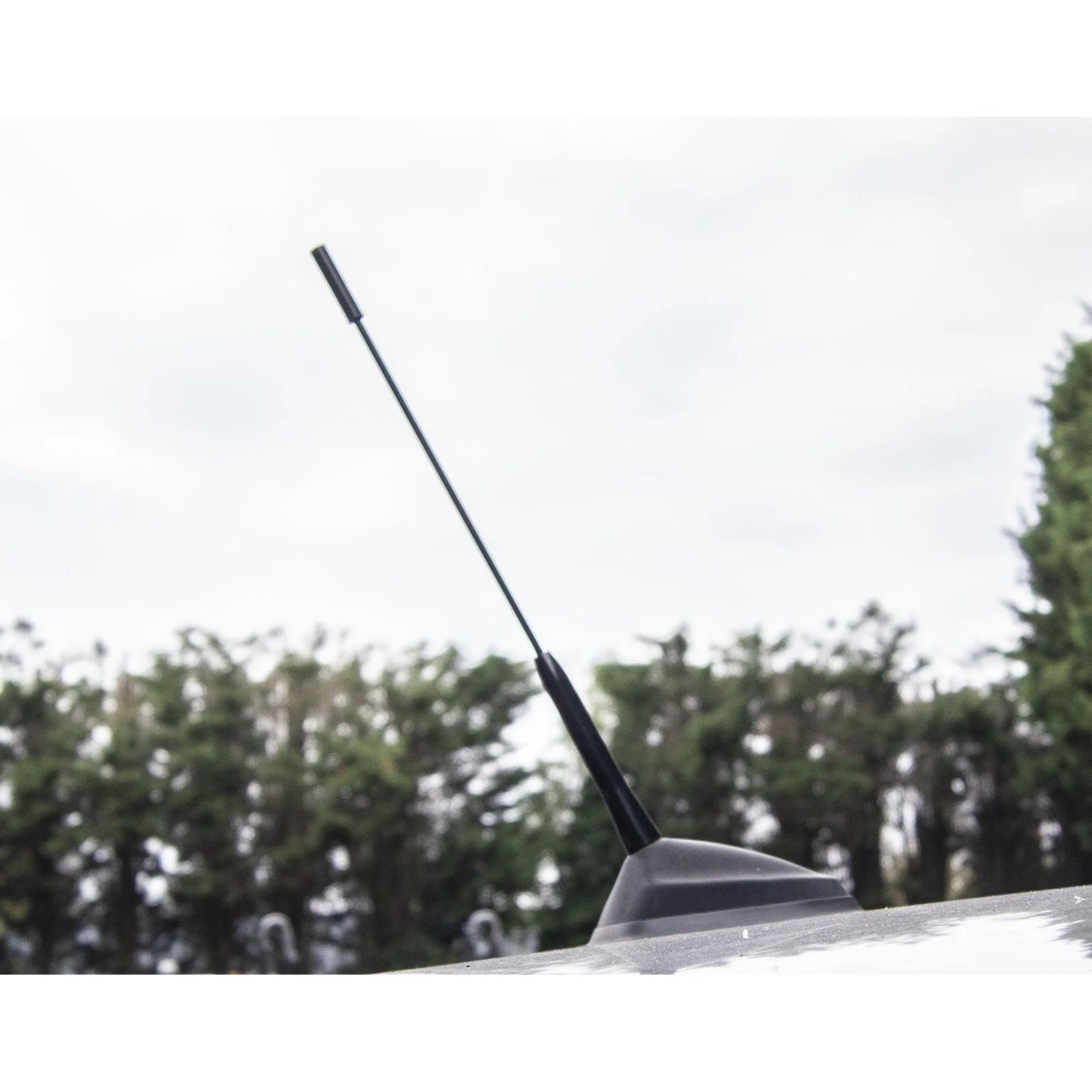 Streetwize Black Bee Sting Radio Aerial For Ford Ka Fiesta Focus St Rs with