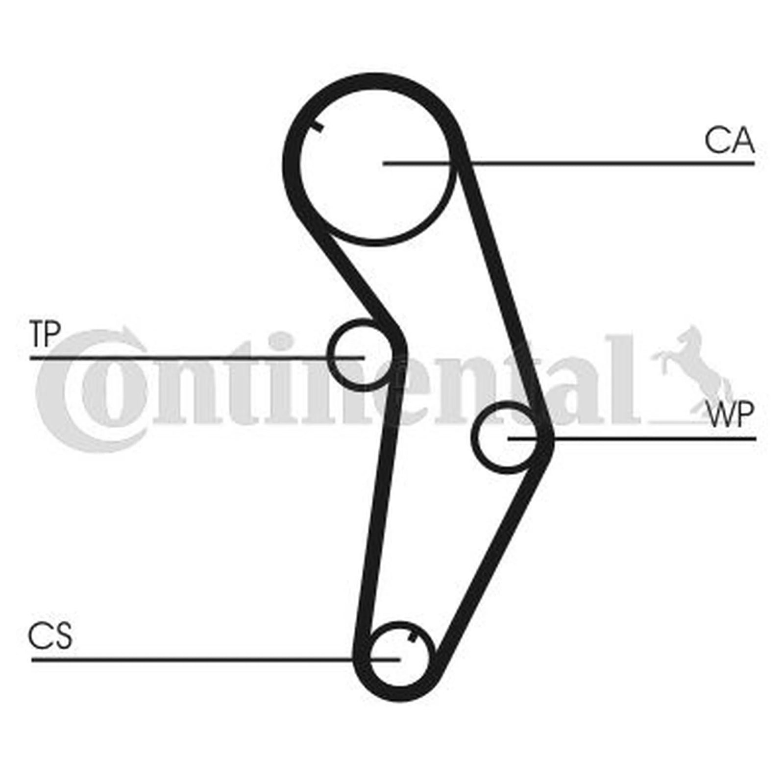 Continental CTAM Timing Belt Cambelt 117 Teeth CT841