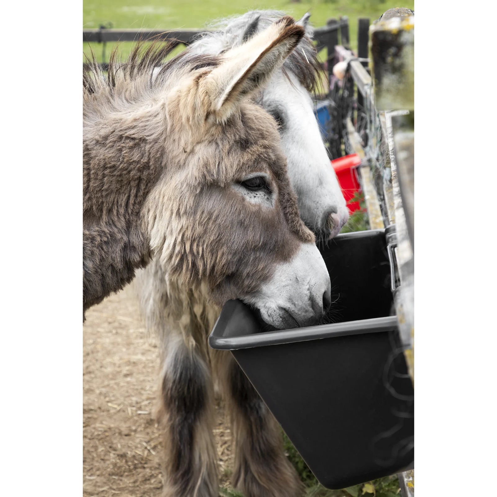 Sealey Hook-Over Trough 40L - Durable Plastic for Farm Animals