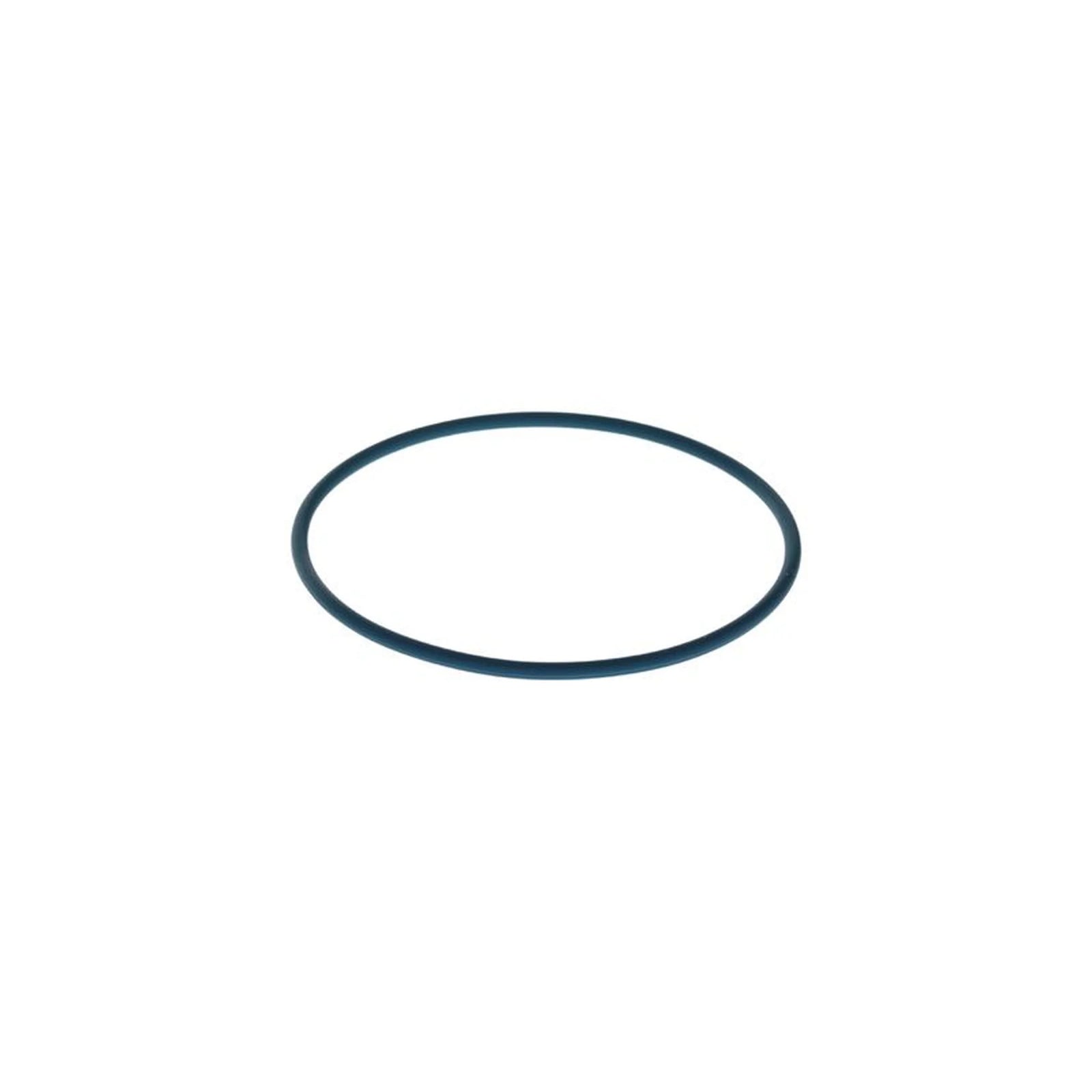 Bosch Rubber Seal Ring F 00N 204 105