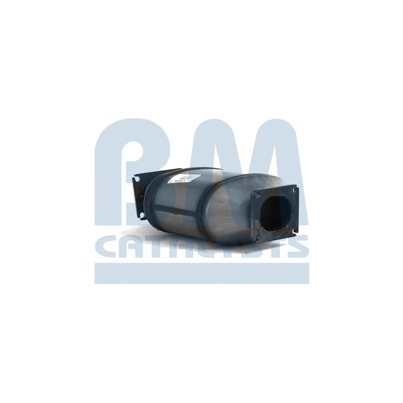 BM Catalysts Dpf BM11034