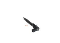 Bosch Diesel Injector Nozzle Tip 0445110189