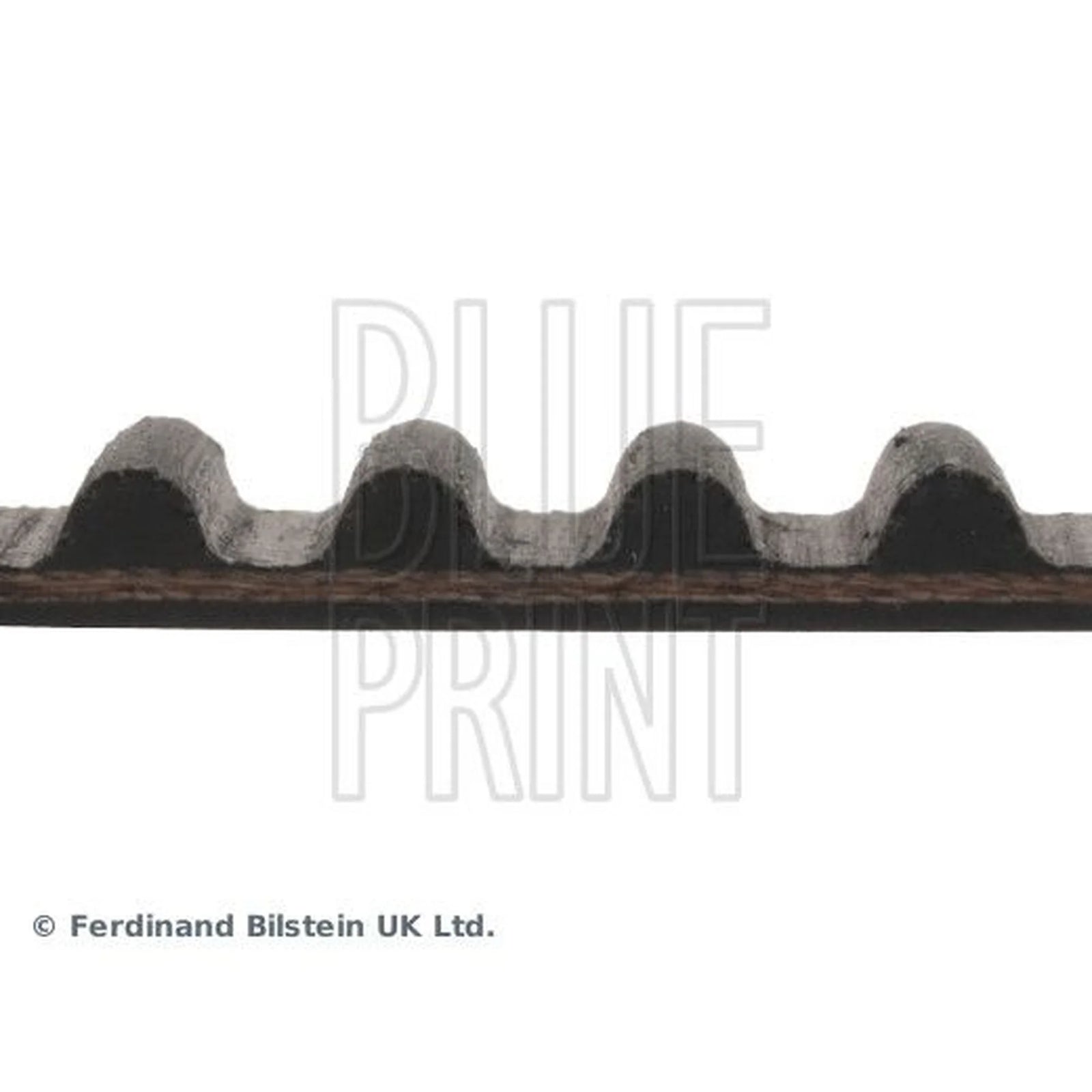 Blue Print Timing Belt Cambelt 124 Teeth ADH27517