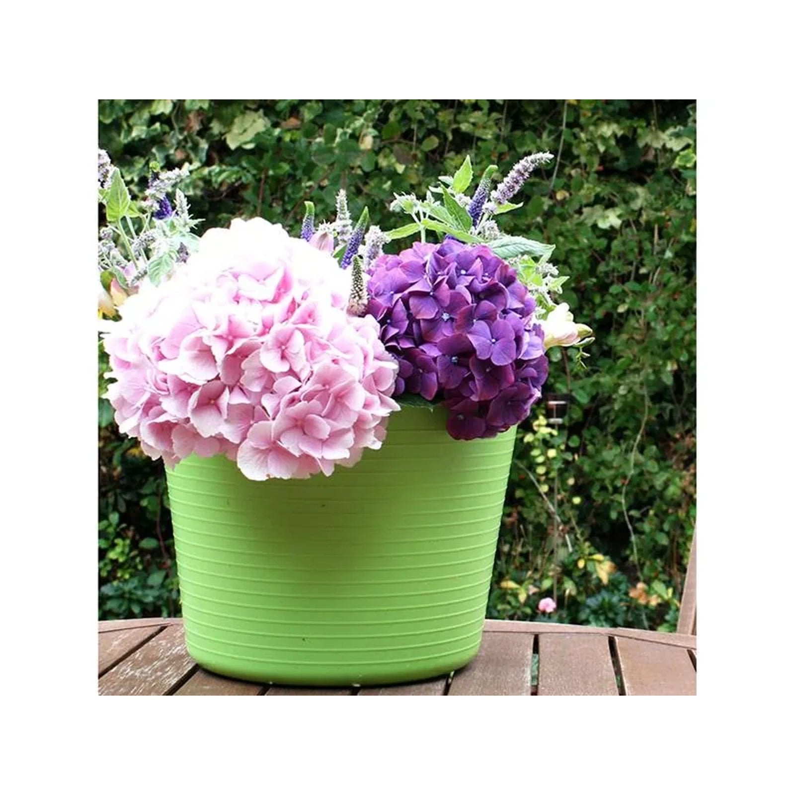 Red Gorilla Tub Trug Pistachio Small 14L SP14PST - SP14PST