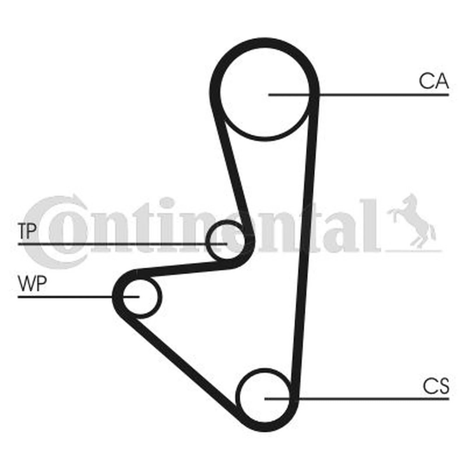 Continental CTAM Timing Belt Cambelt 104 Teeth CT718