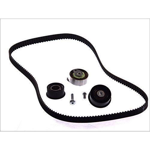 Ina Timing Belt Kit 530007810