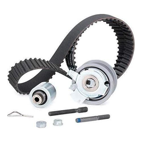 Ina Timing Belt Kit 530020110